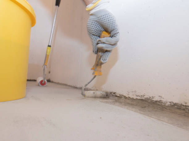 Best Pest Prevention Services  in Belvidere, NJ